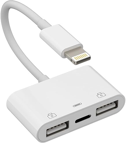 image of Apple interface Lightning hub